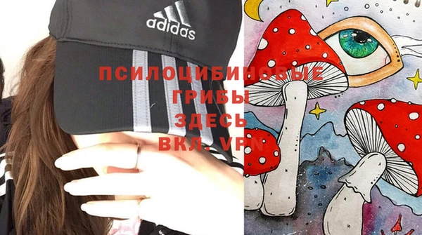 соль ск Нягань