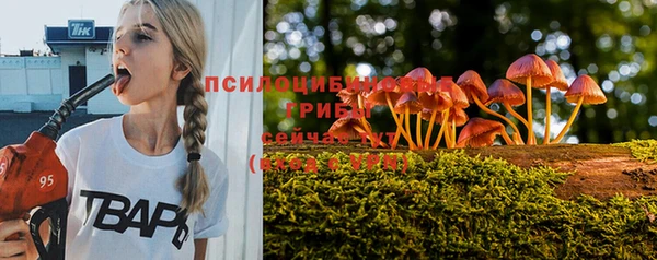 MESCALINE Няндома