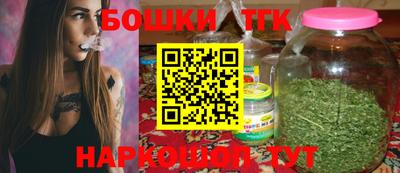 индика Пушкино