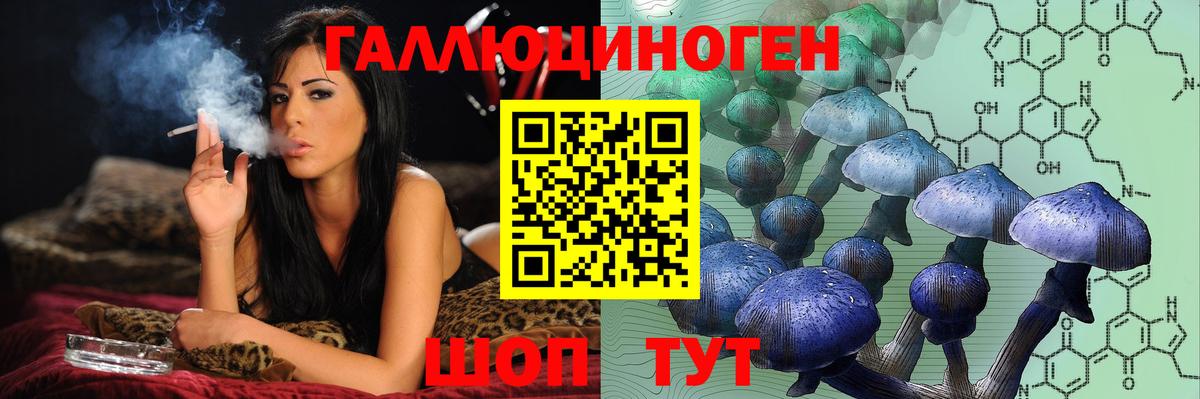 Псилоцибиновые грибы Cubensis  Вход с VPN  Приморско-Ахтарск 